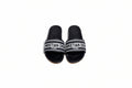 Dior slides (Embroidery)