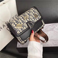Dior crossbody