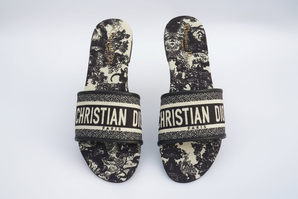Dior slides