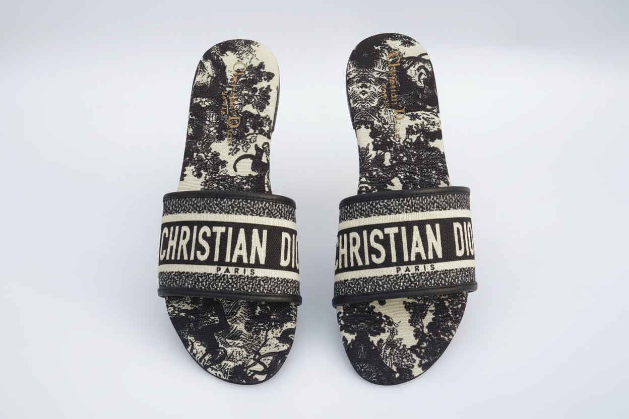 Dior slides