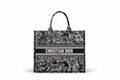 Dior totes