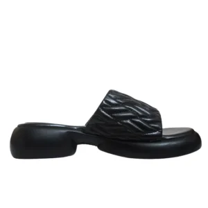 Blackstone Slides